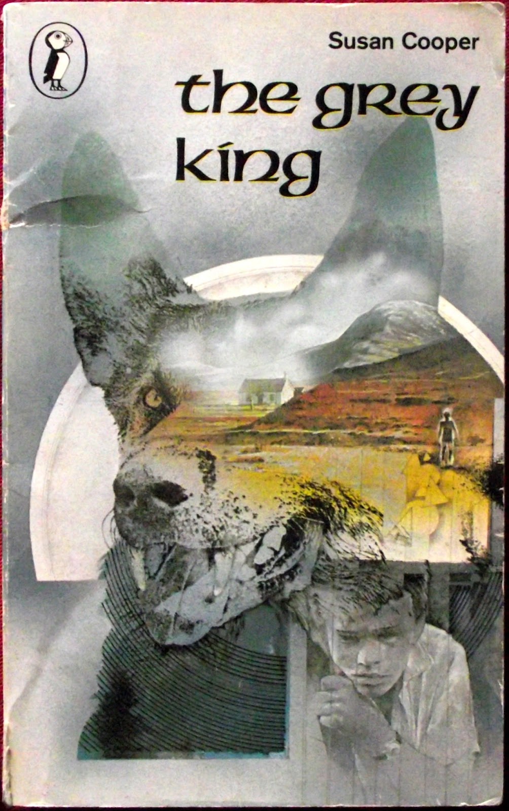 Image result for the grey king